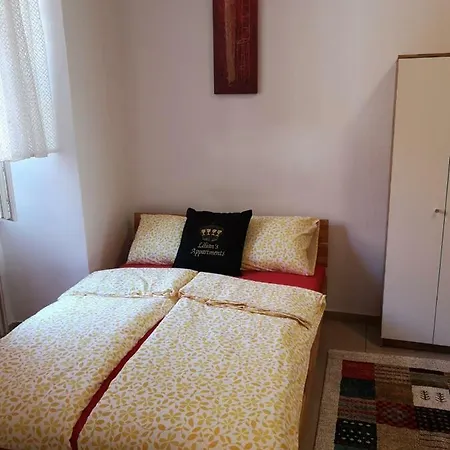 Lilian Center Apartment Graz